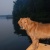 Userphoto - Get ranking