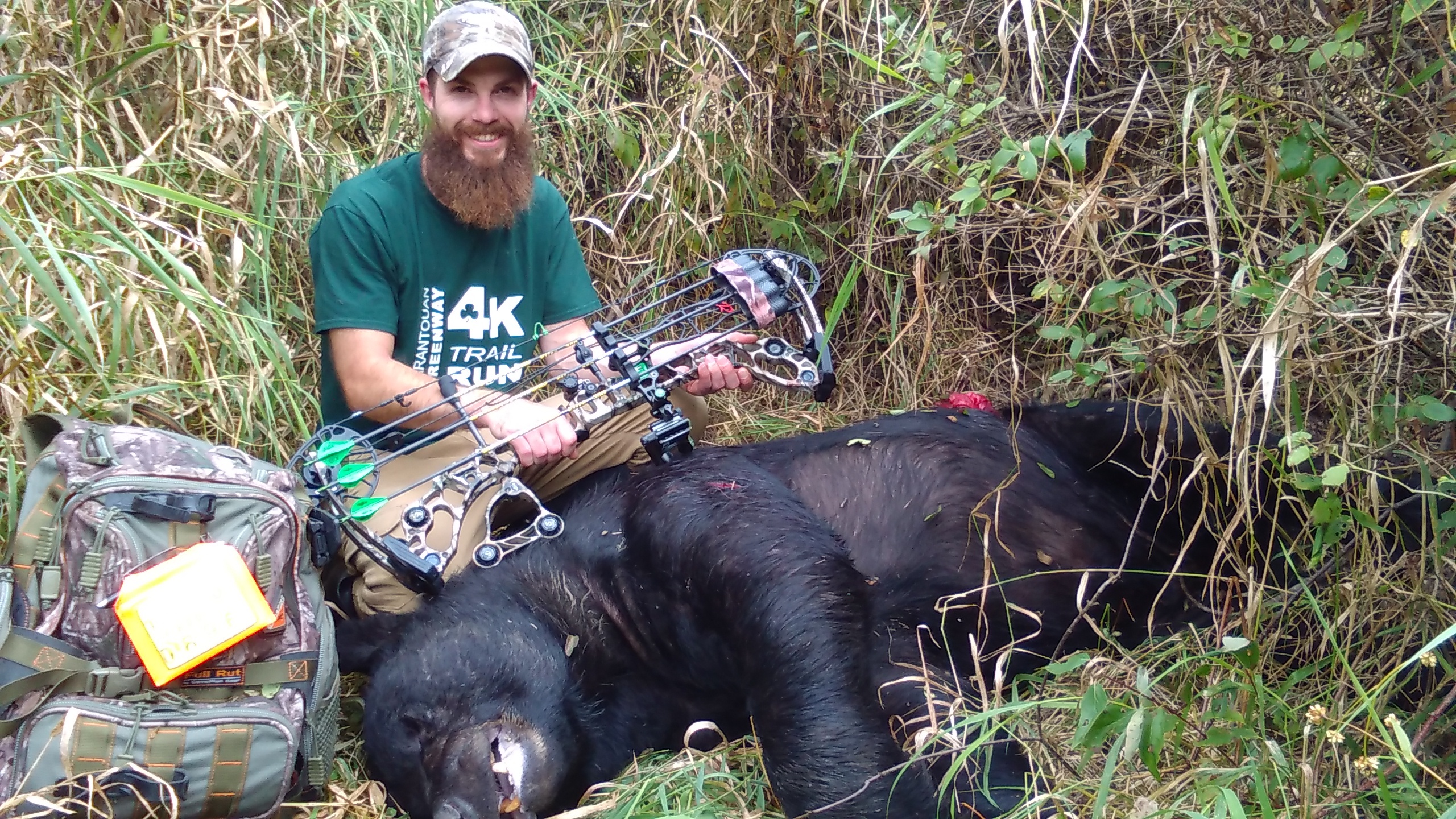 Black Bear