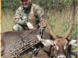 trophy