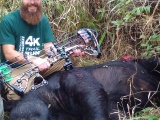 Black Bear