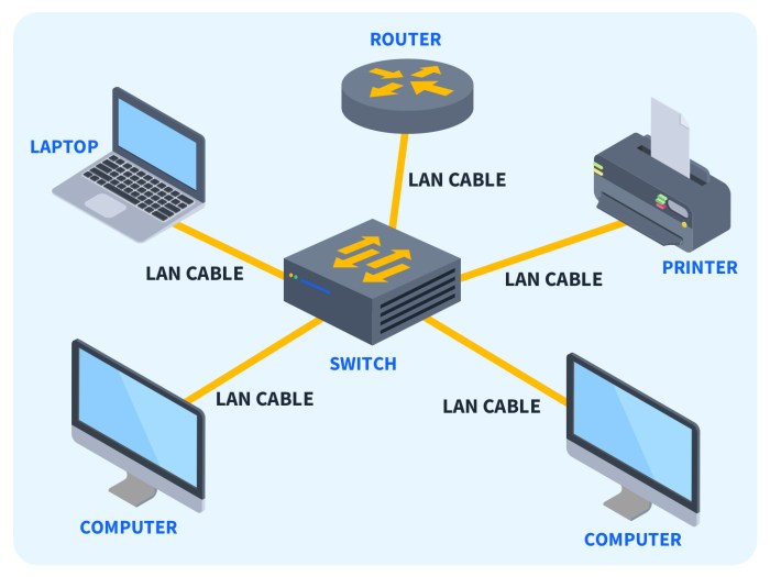What is a Local Area Network (LAN)? How to catch walleye